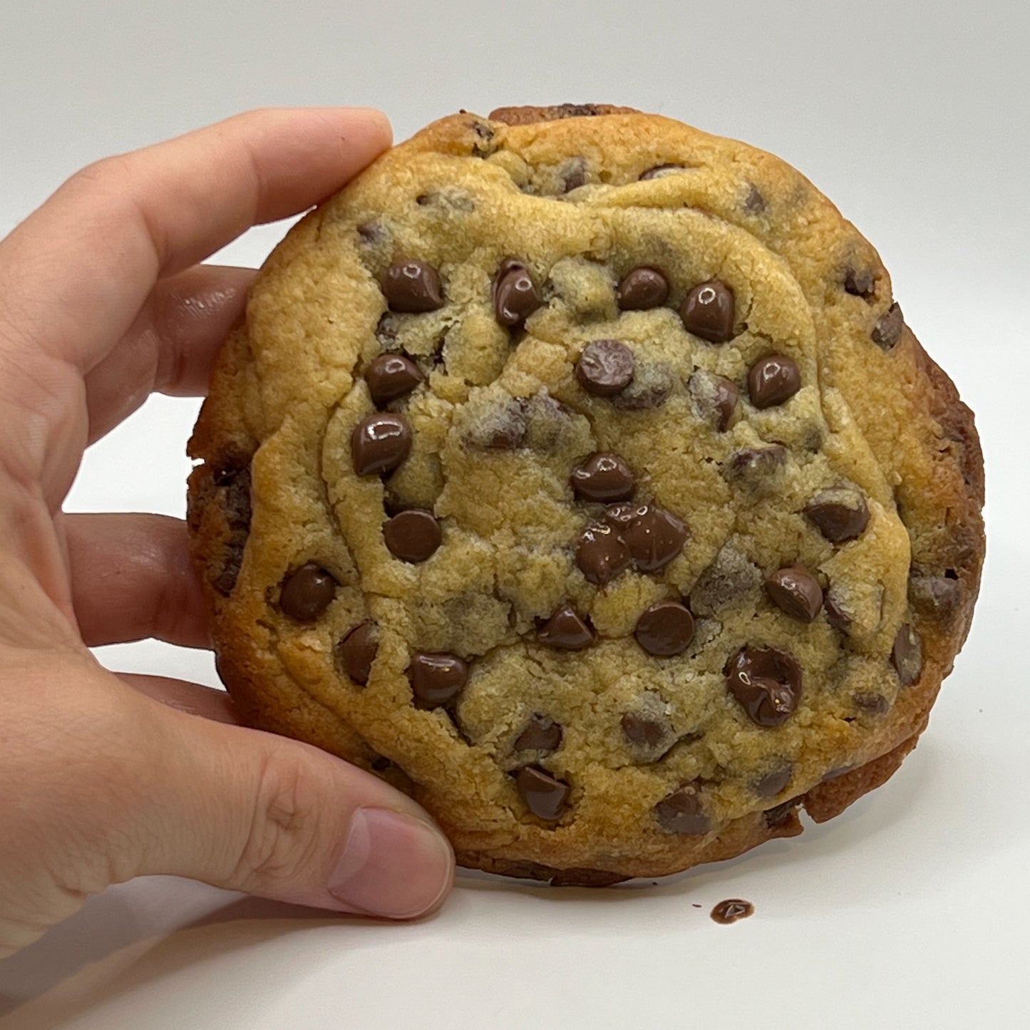 Freshly baked Classic Chocolate Chip Cookie from The Dough Corner, Auckland's favorite bakery