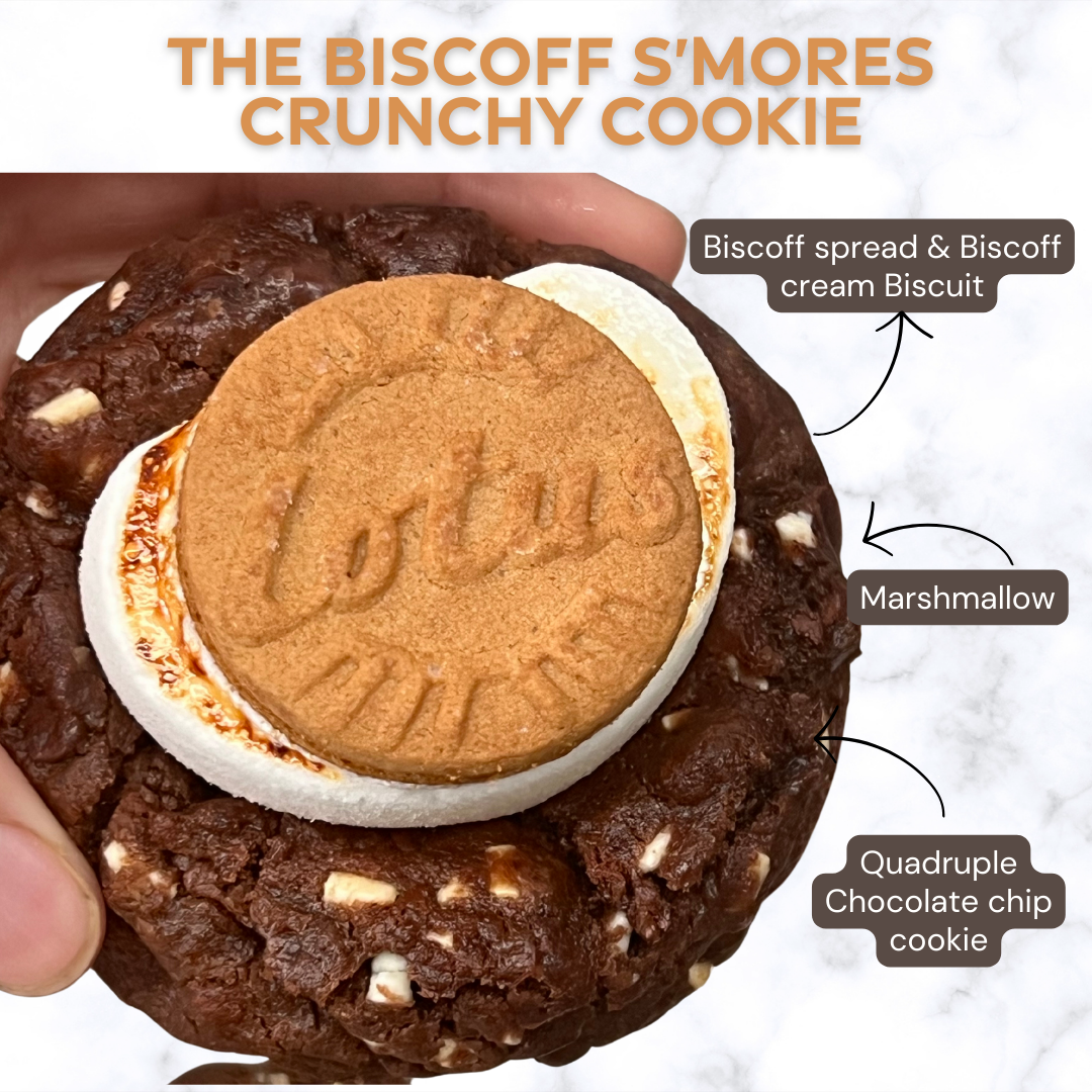Biscoff Smores Cookies